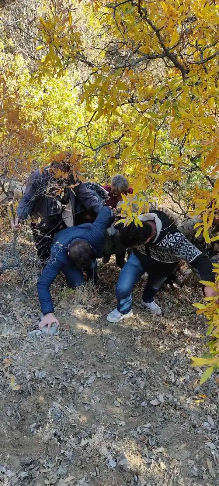 Bingöl’de kuşburnu toplanken kaybolan yaşlı kadın bulundu
