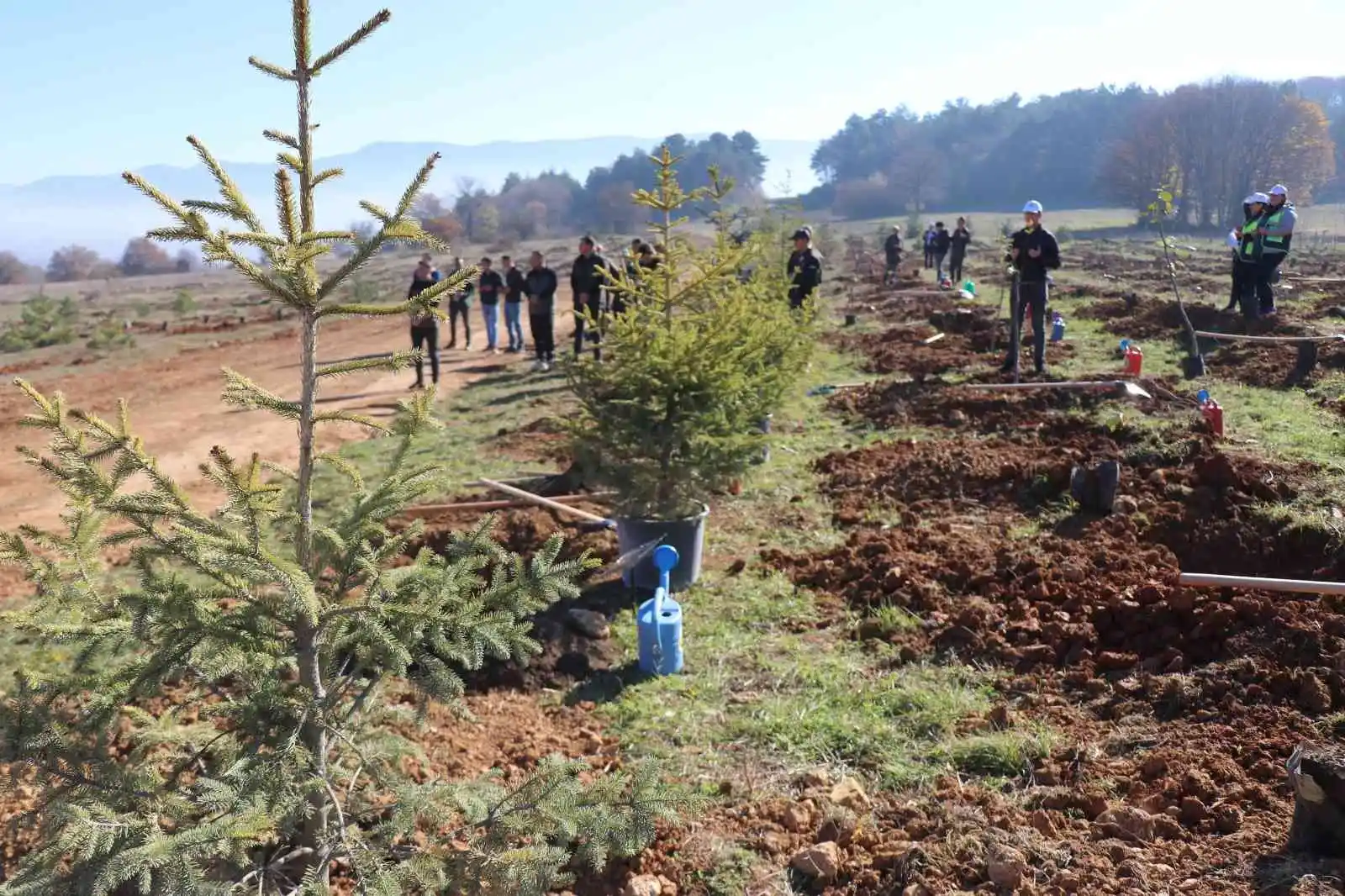 Bolu’da 43 bin 500 fidan toprakla buluştu