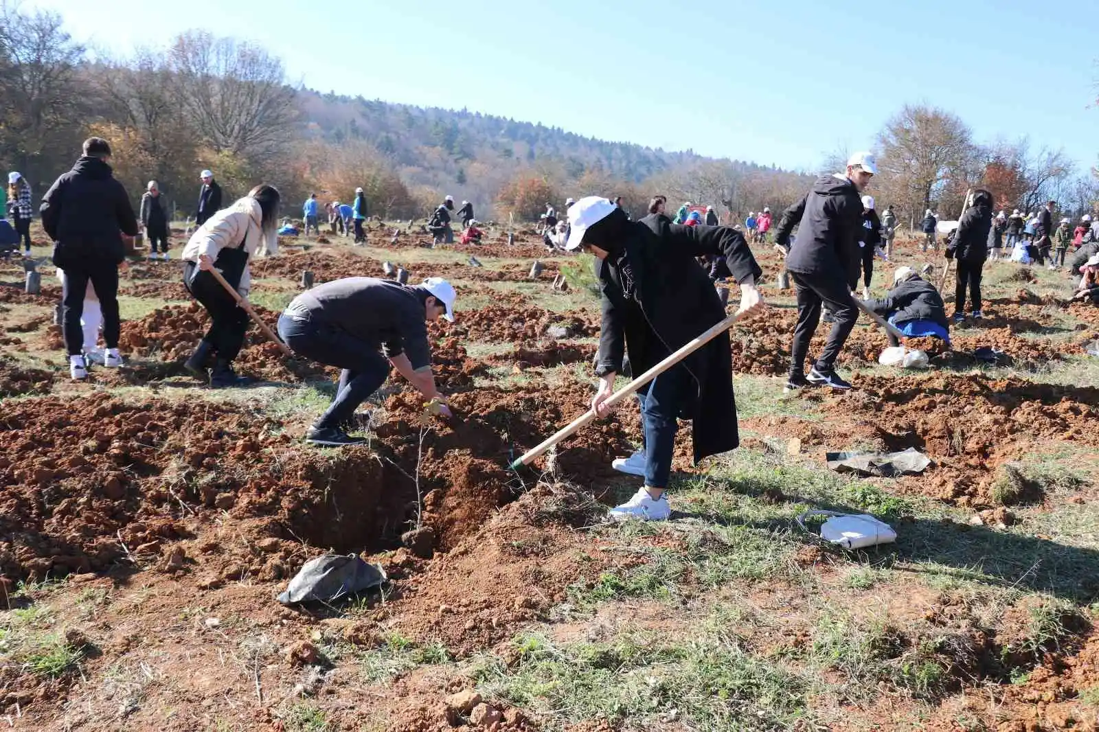 Bolu’da 43 bin 500 fidan toprakla buluştu