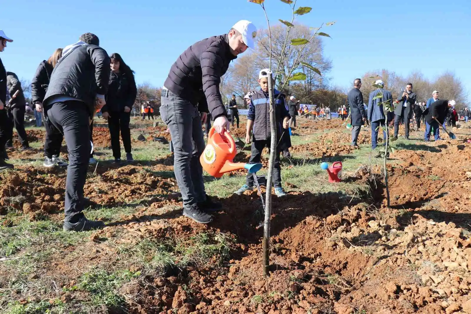 Bolu’da 43 bin 500 fidan toprakla buluştu