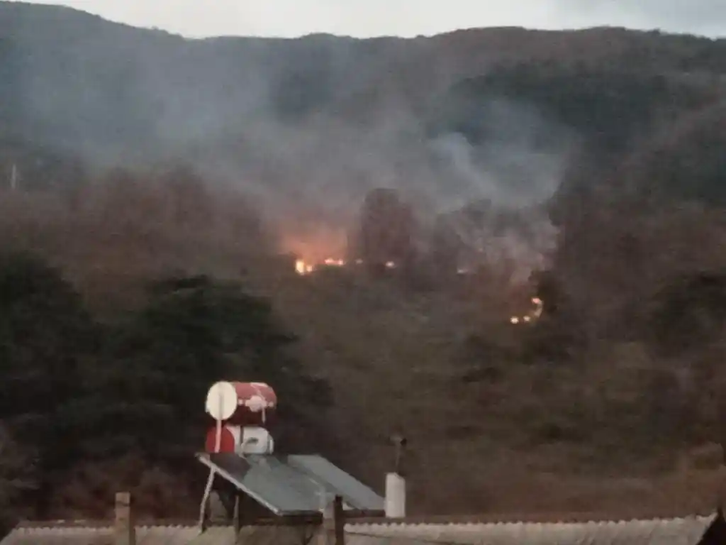 Bolu'da ormanlık alanda çıkan yangın korkuttu
