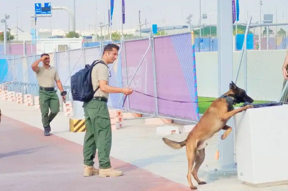 Bozo, Dünya Kupası'nda görevlendirildi