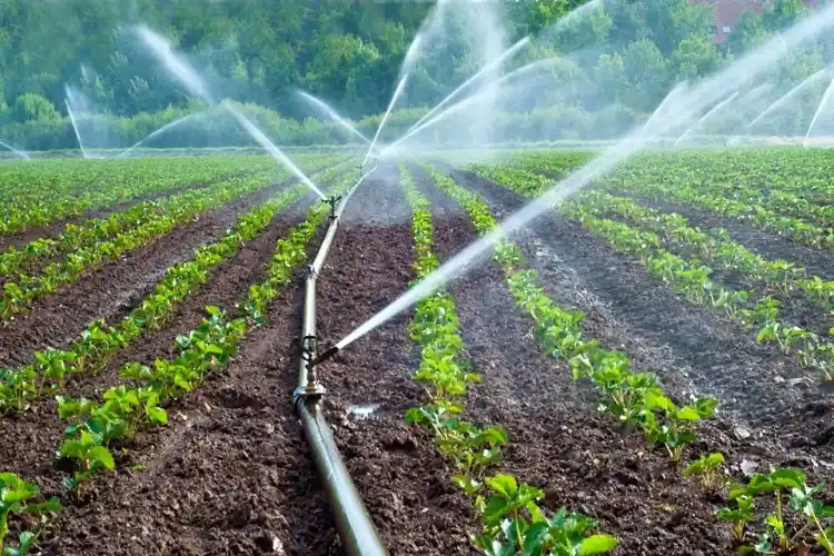 Denizli'de 259 çiftçiye bireysel sulama sistemi desteği verildi
