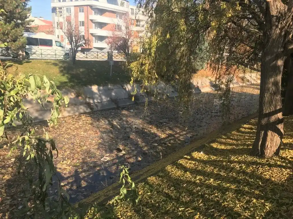 Dökülen yapraklar su yüzeyini kapladı
