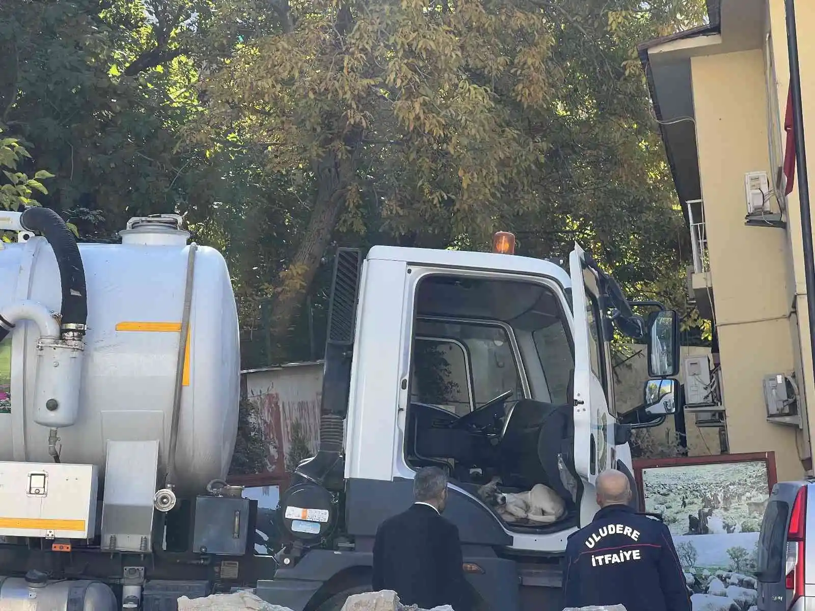 Duyarlı ekipler, yaralı halde kıvranan köpeğin tedavisini sağladı