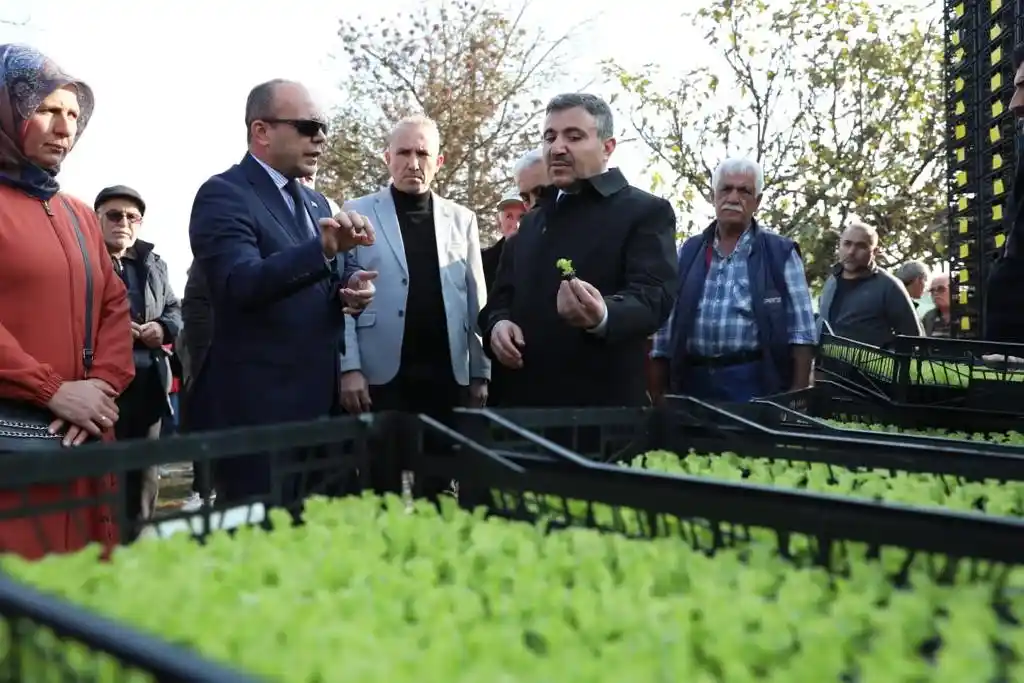 Düzce'de 'Salata, Marulsuz olmaz' projesi başladı