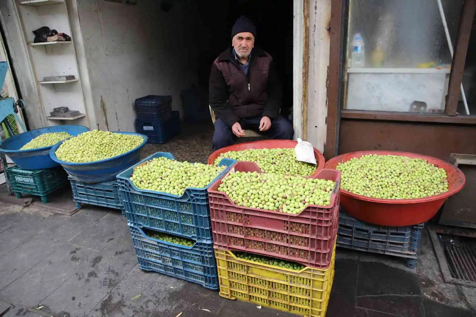 Gaziantep’te yeşil zeytin tezgaha indi
