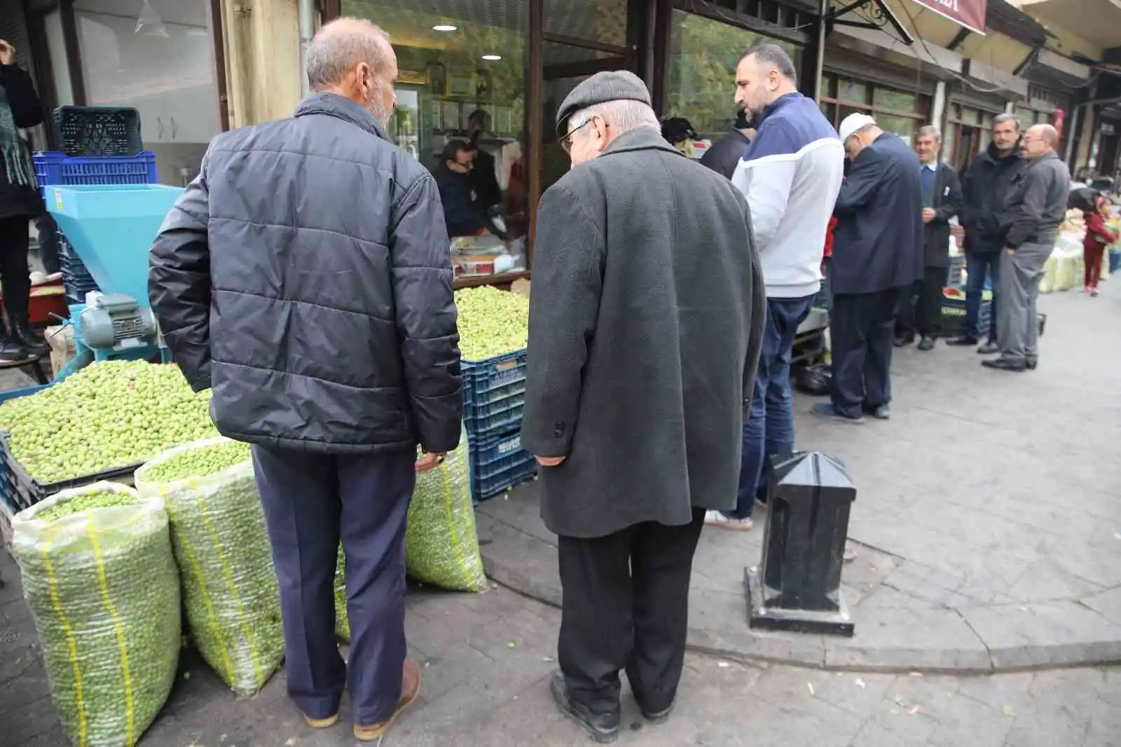 Gaziantep’te yeşil zeytin tezgaha indi
