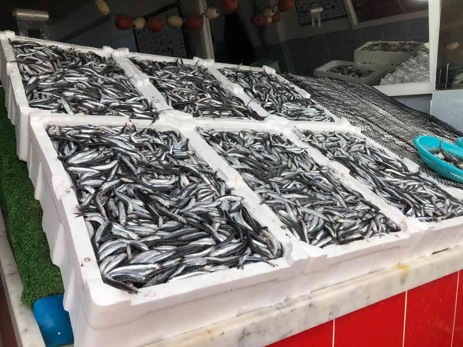 Hamsi 25 TL'ye tezgahlarında yerini aldı