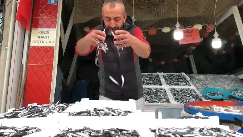Hamsi 25 TL’ye tezgahlarında yerini aldı