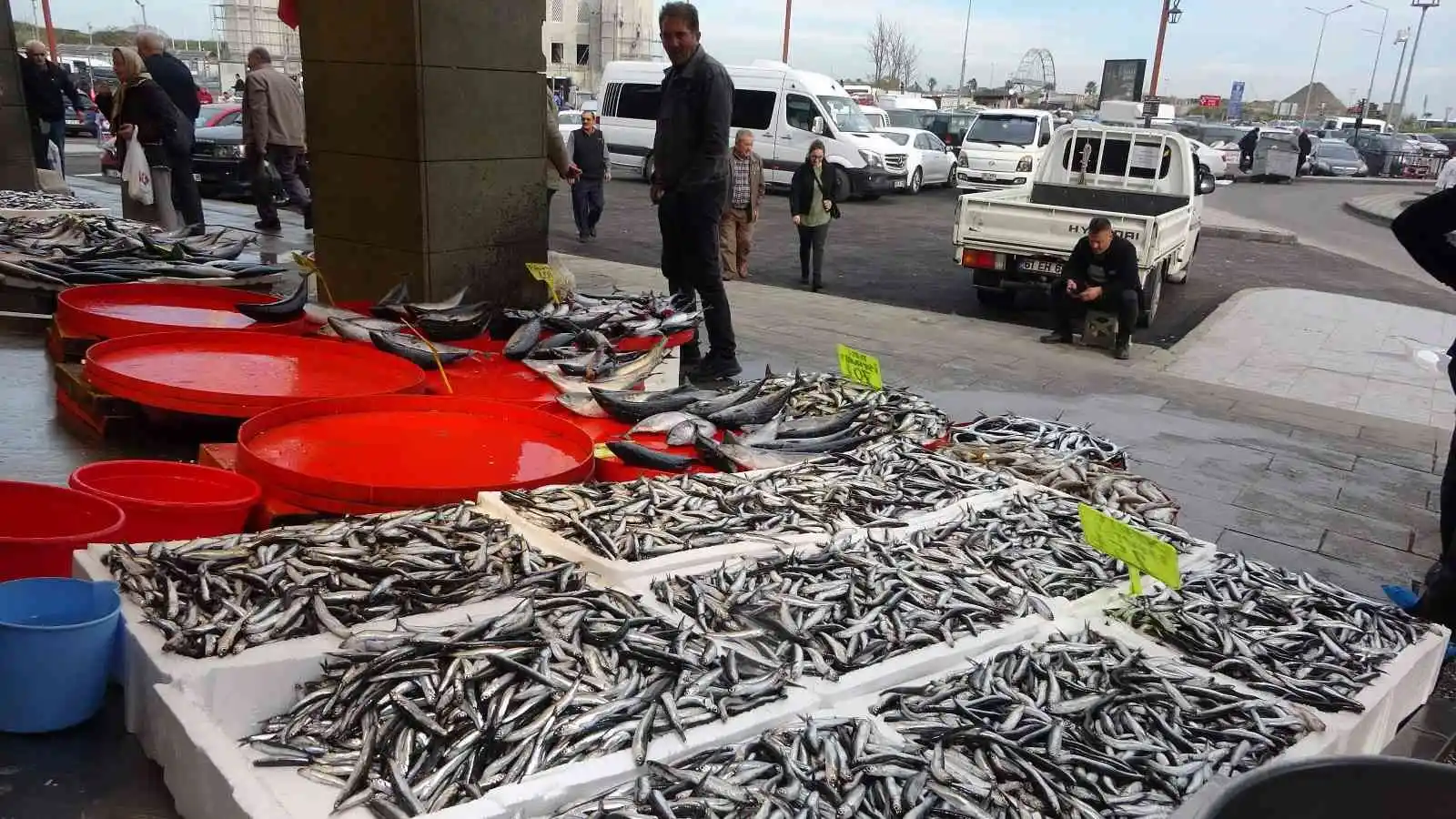 Hamsi avı bollaştı, fiyatı yarı yarıya düştü