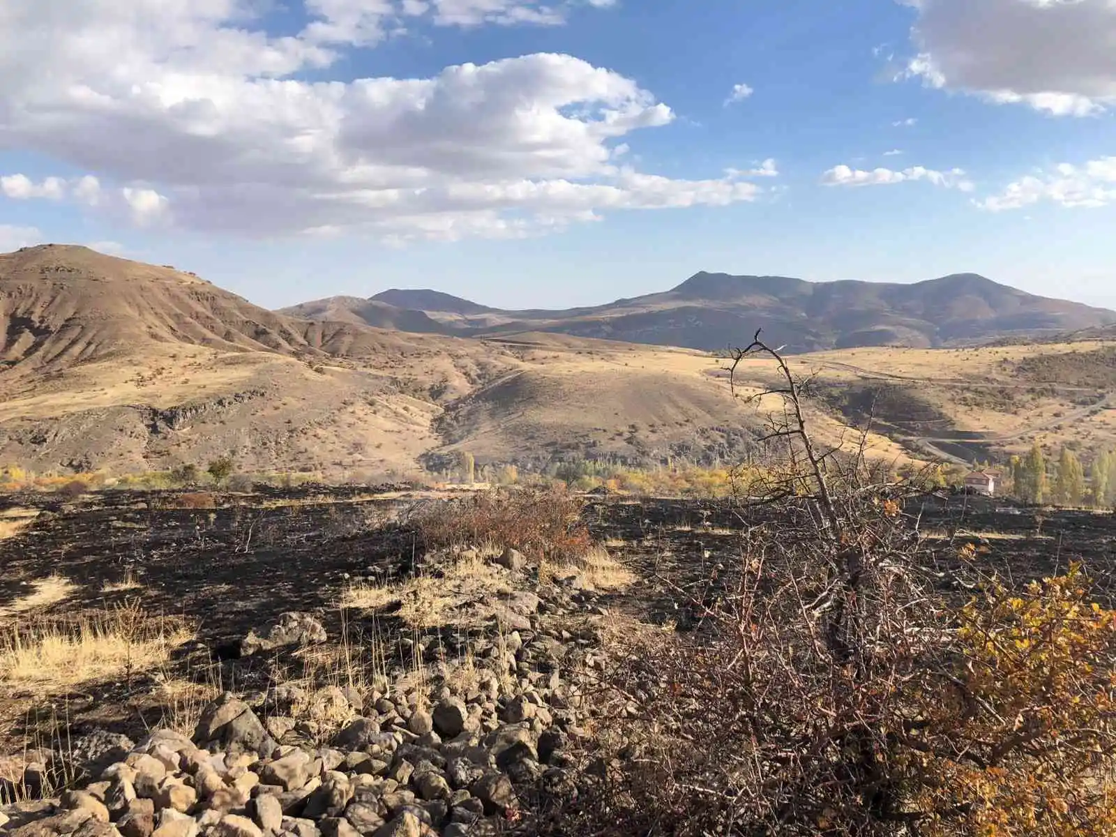 Hekimhan'da arazi yangını: 8 dönüm zarar gördü