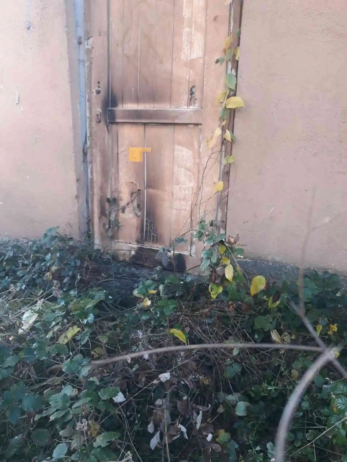 Husumetlisinin evini kundaklamaya gitti, ağabeyi vuruldu