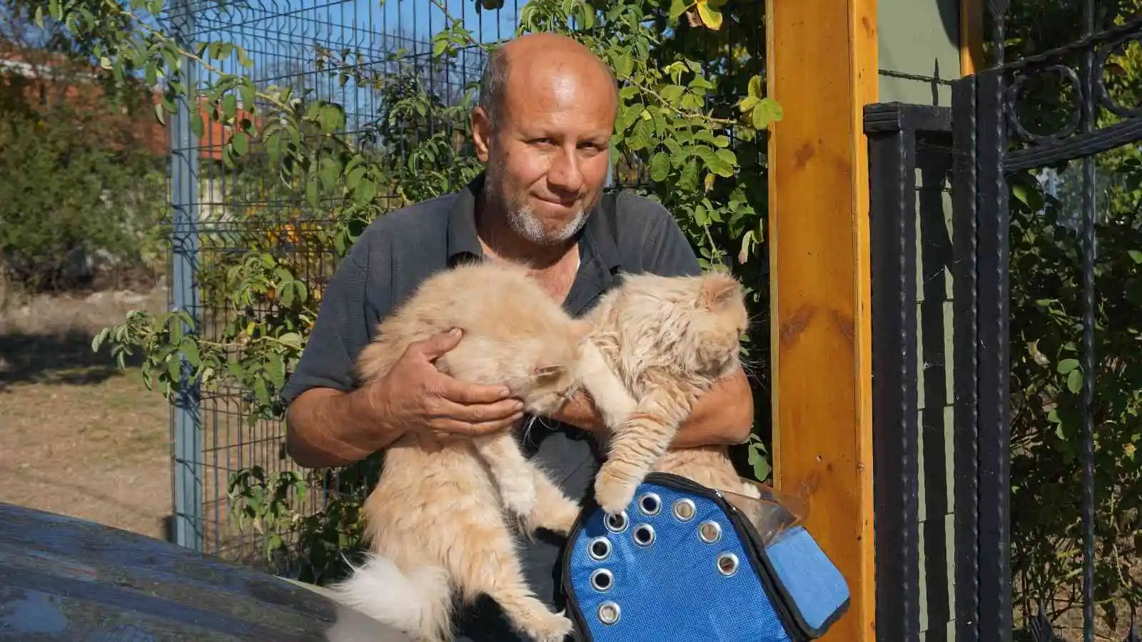 İran kedilerini kendi aracıyla dolaştırarak hayvan sevgisini aşılıyor
