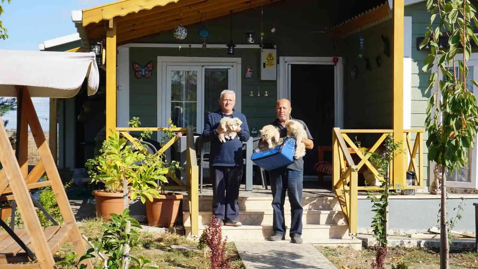 İran kedilerini kendi aracıyla dolaştırarak hayvan sevgisini aşılıyor
