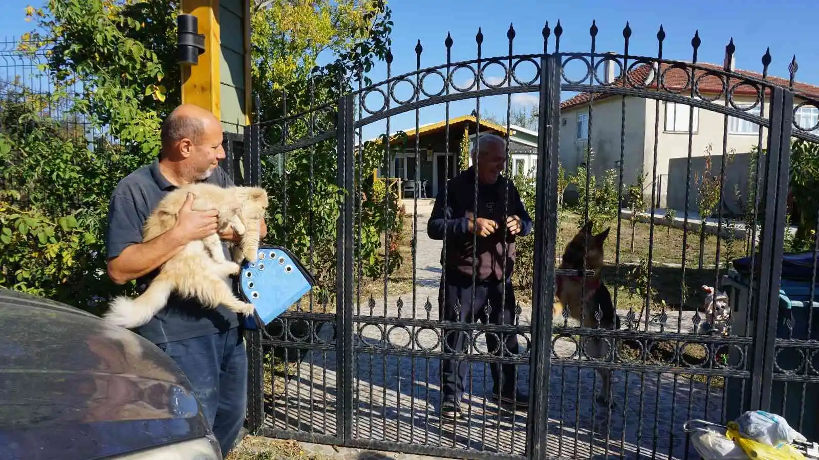 İran kedilerini kendi aracıyla dolaştırarak hayvan sevgisini aşılıyor
