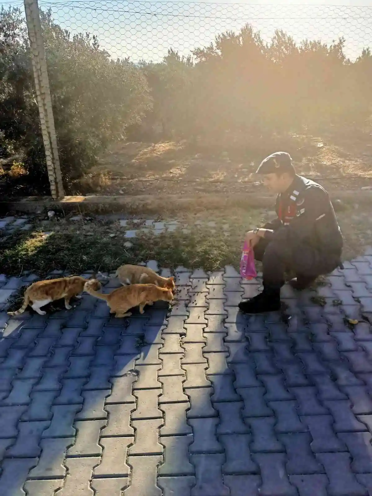 Jandarma, 'can dostların' yanında