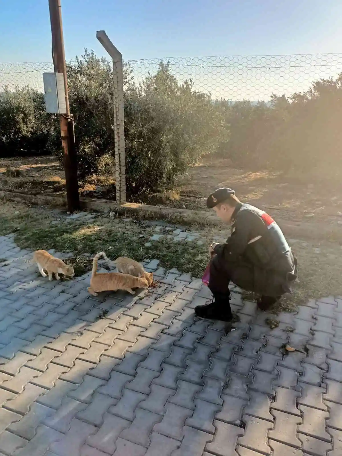 Jandarma, ‘can dostların’ yanında
