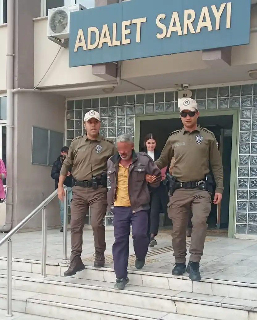 Köpek tecavüzcüsü tutuklandı