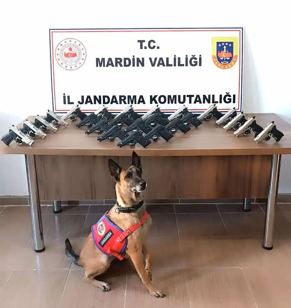 Mardin'de araçtan 25 adet ruhsatsız silah çıktı