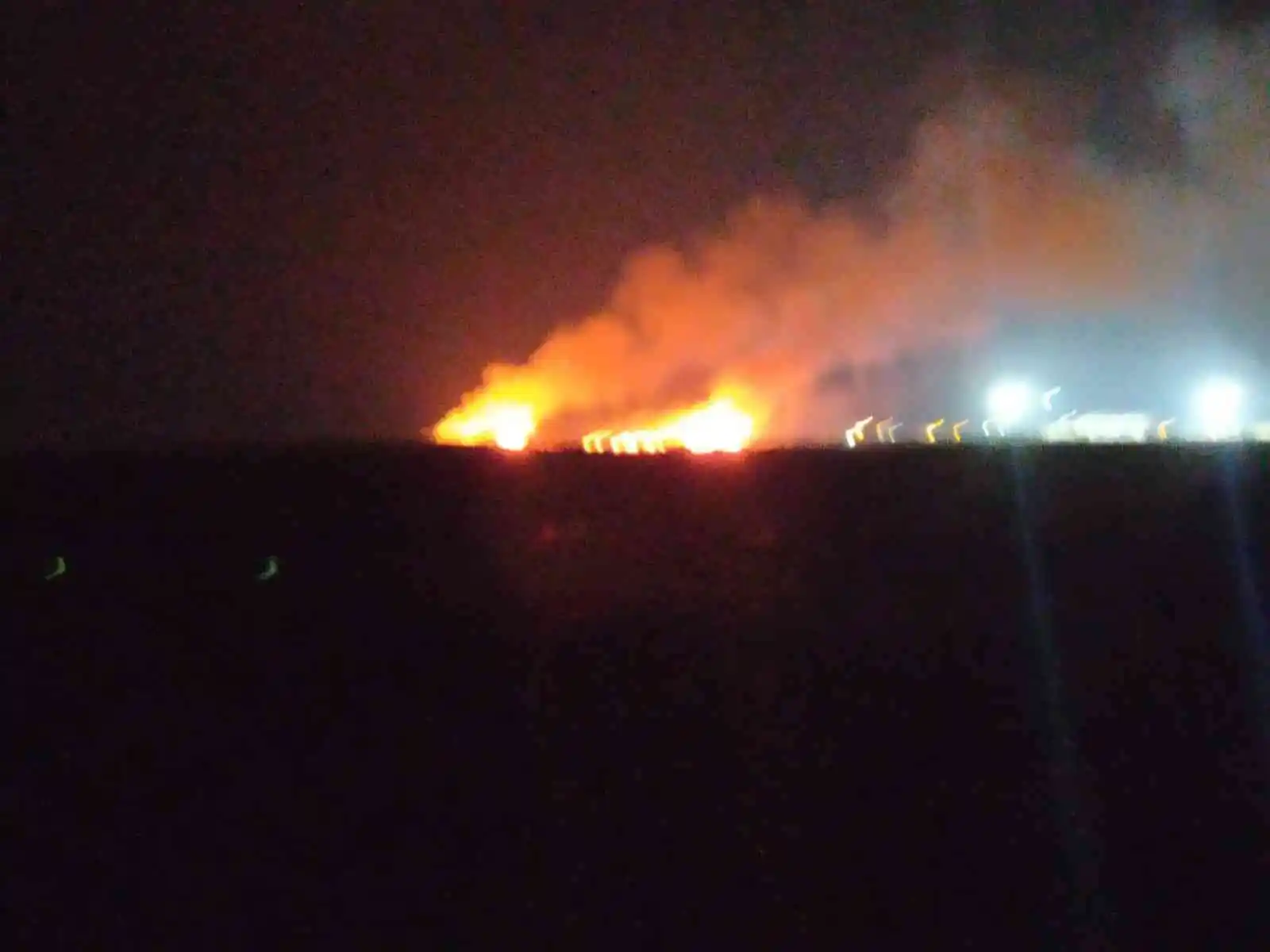 Milleyha Kuş Cenneti’nde yangın çıktı
