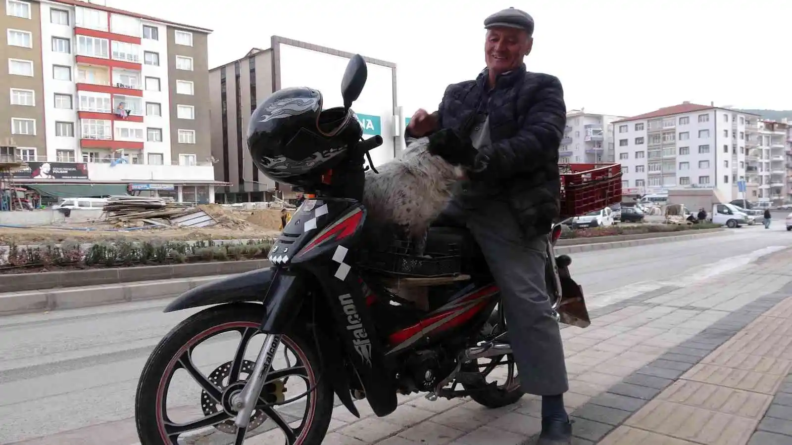 Motosiklet tutkunu köpek yollarda