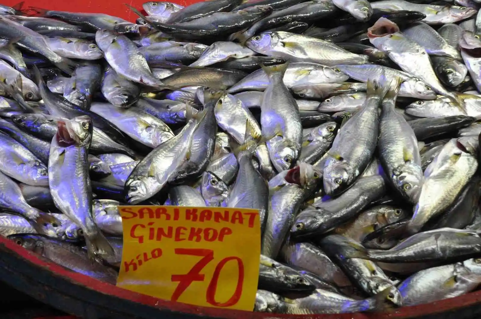 Mudurnu'da pazar tezgahlarında balık bolluğu
