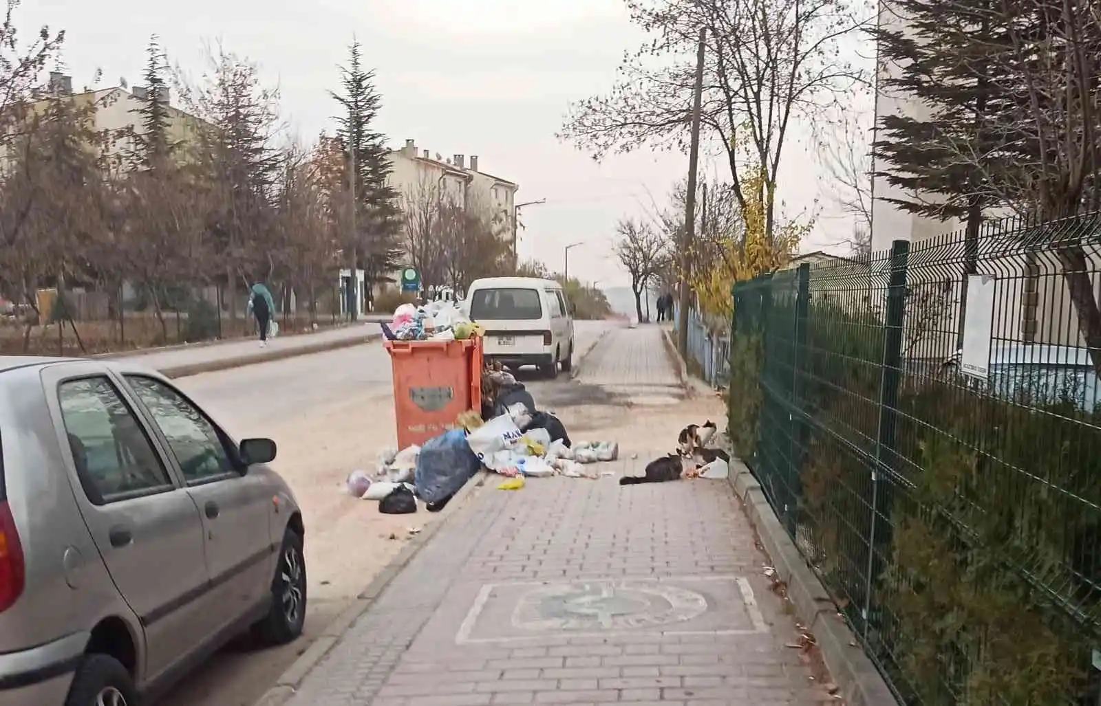 Odunpazarı'nda konteynerden taşan çöpler kaldırımı kapladı
