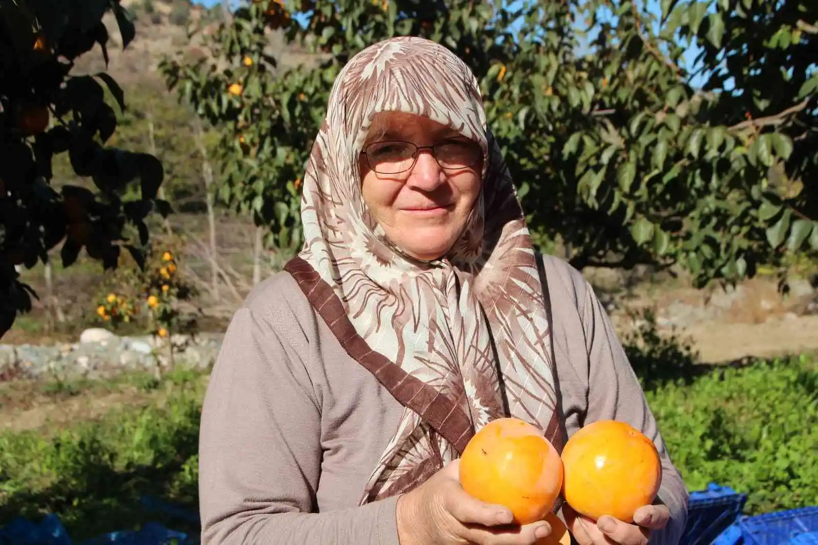 (ÖZEL) Bilecik ülkemizin ’Cennet Hurması’ ihtiyacının yüzde 35’ini karşılıyor
