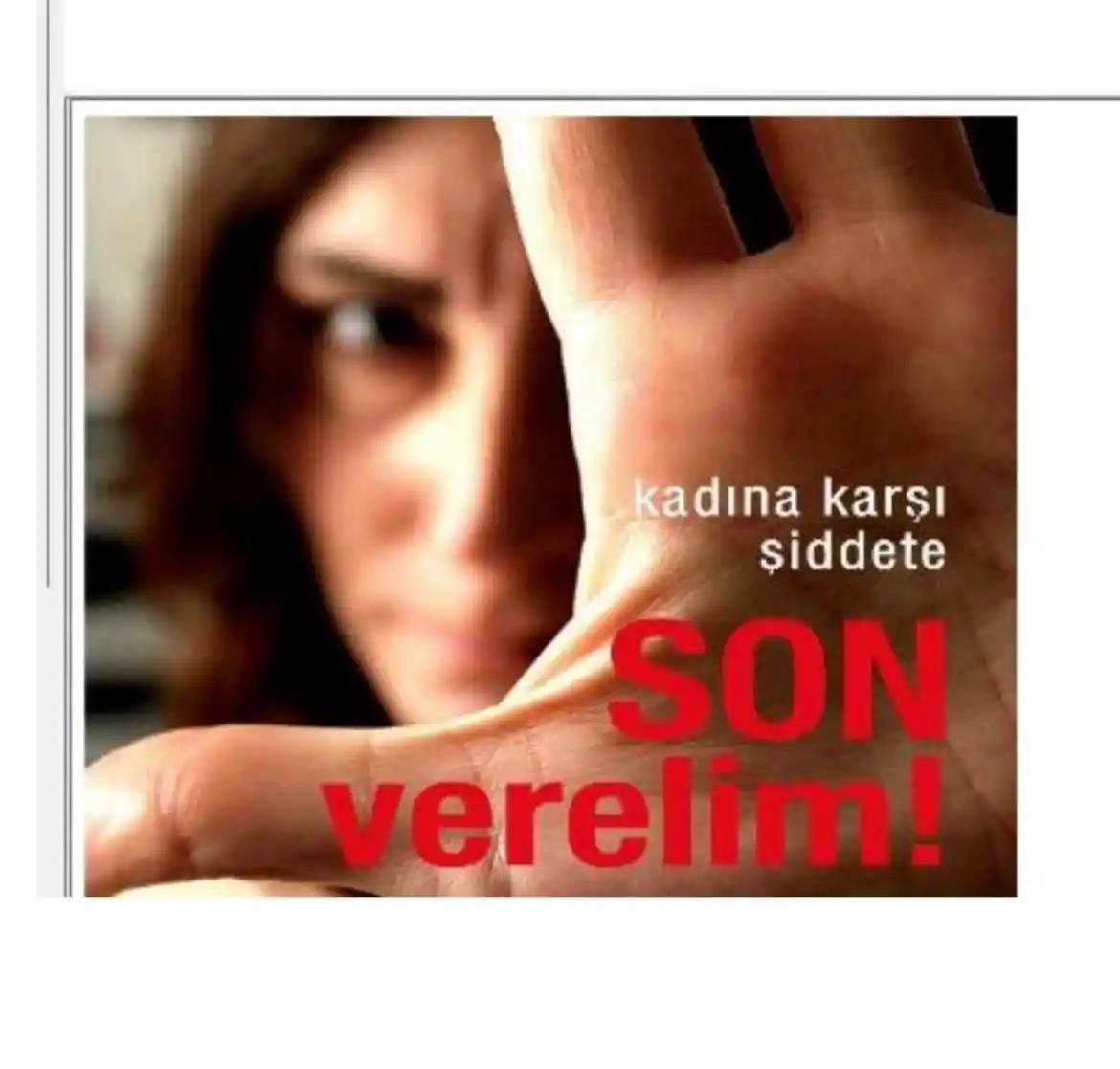 Sahte site tasarlayıp vatandaşları dolandıran şebeke çökertildi