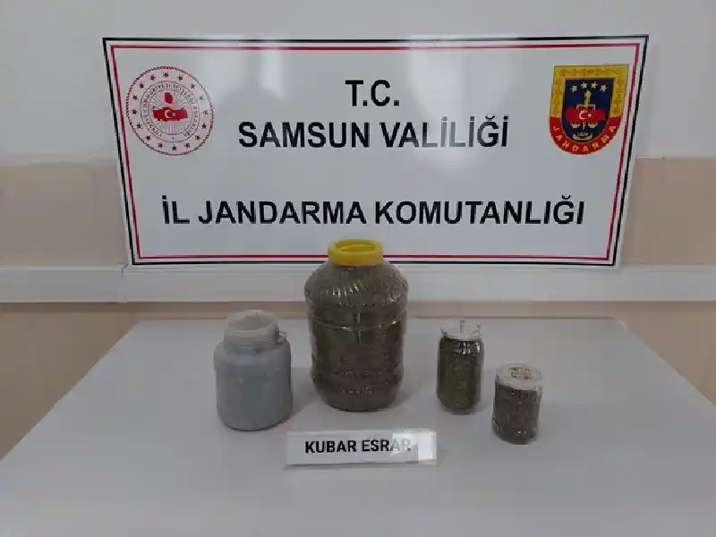 Samsun'da Amisos dönemine ait 237 sikke ele geçirildi
