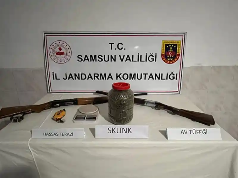 Samsun’da Amisos dönemine ait 237 sikke ele geçirildi