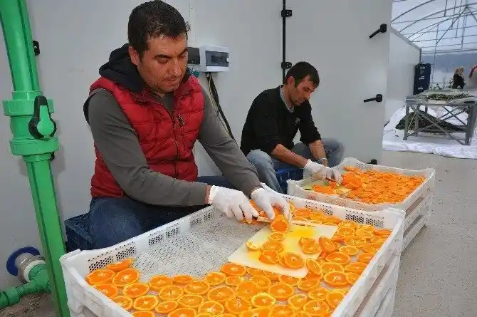 Seferihisar’da mandalina şenliği renkli anlara sahne oldu
