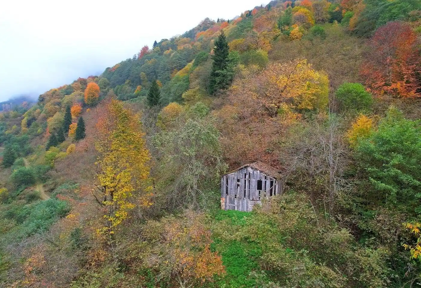 Sonbahar renkleri Trabzon’u kartpostallardaki görüntülere çevirdi