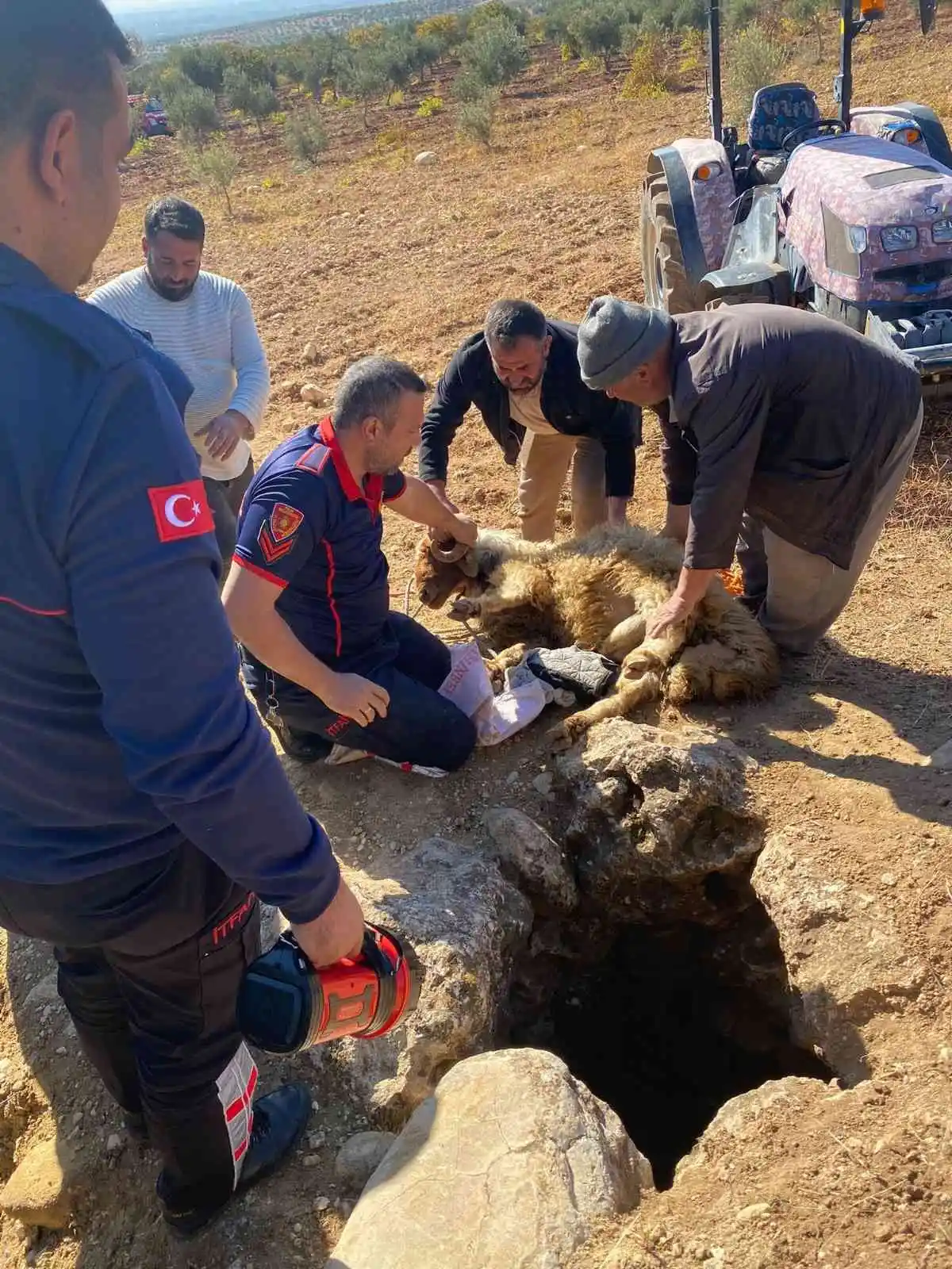 Su kuyusuna düşen koyun kurtarıldı
