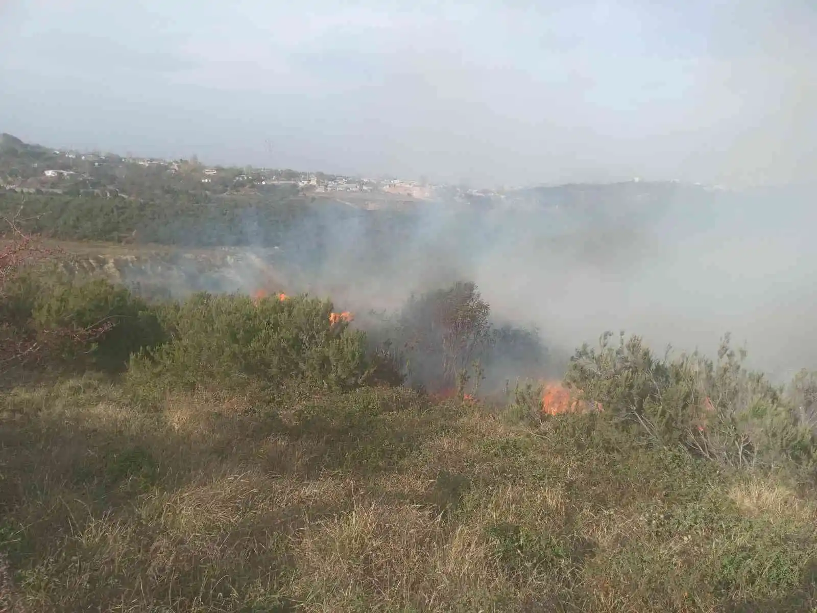 Sultangazi'de çalılık alanda korkutan yangın