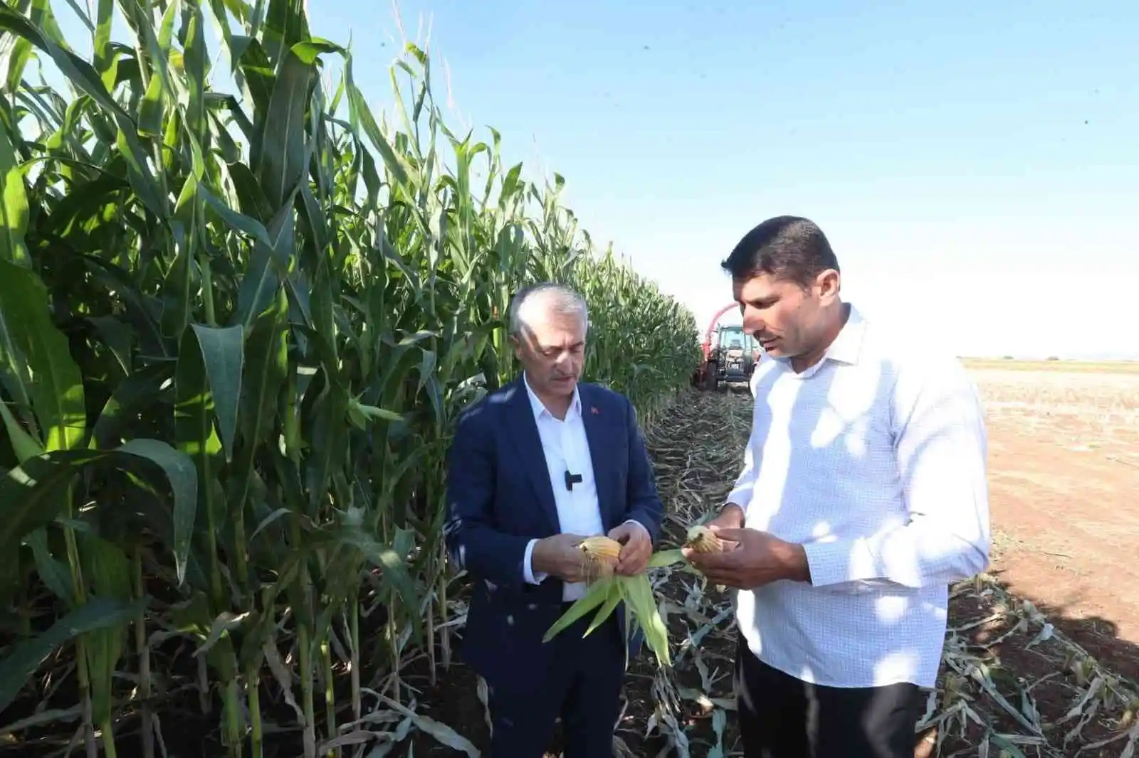 Tahmazoğlu çiftçilerle birlikte mısır topladı