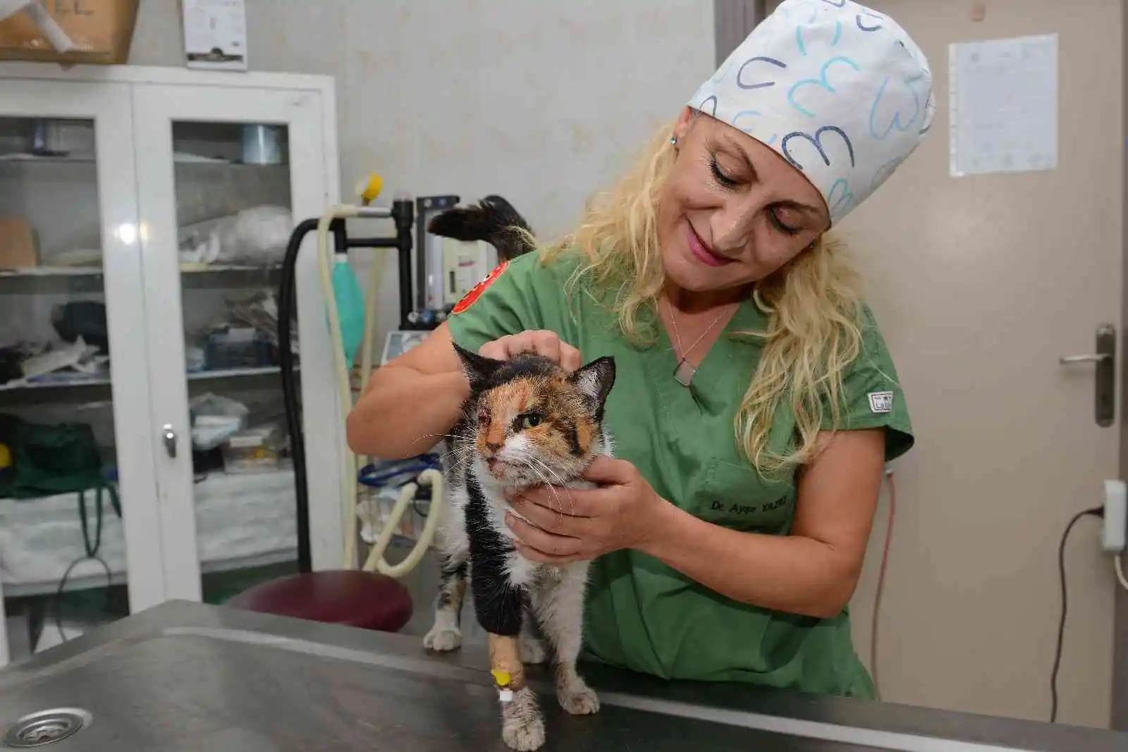 Trafik kazasında ağır yaralanan kedi, ameliyatla hayata döndürüldü
