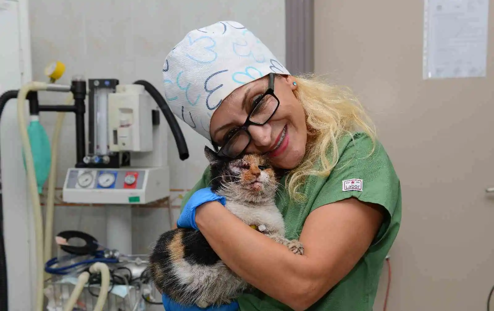 Trafik kazasında ağır yaralanan kedi, ameliyatla hayata döndürüldü
