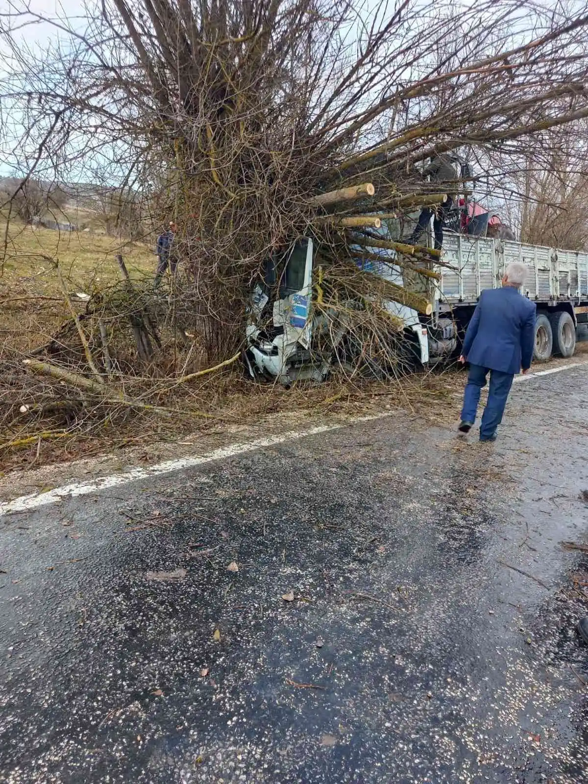 Traktör yüklü kamyon ağaca çarptı: 2 yaralı
