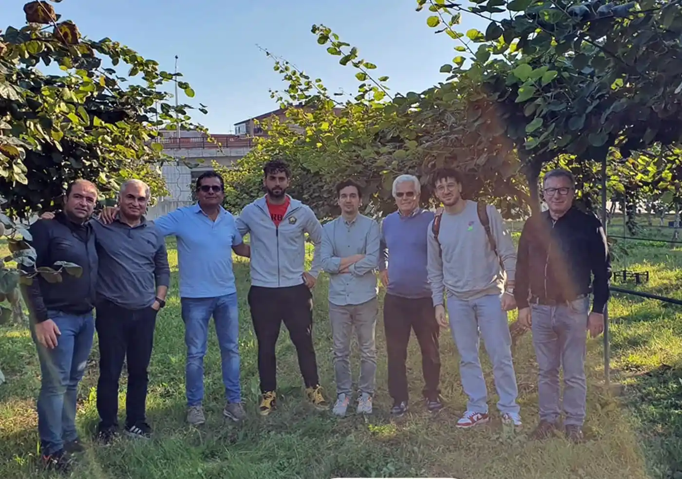 Türk kivi çeşitlerine İtalya'dan talip çıktı
