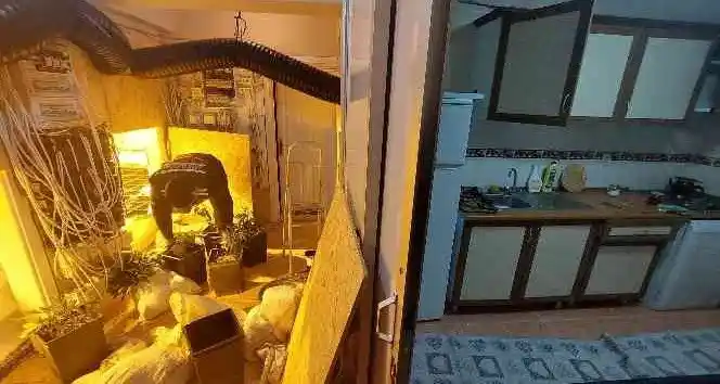 Villaya kenevir operasyonunda 1 kişi tutuklandı