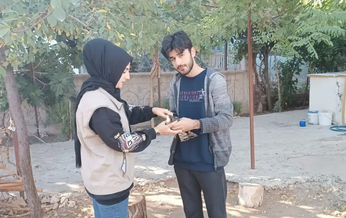 Yaralı hayvanlar tedavi altına alındı
