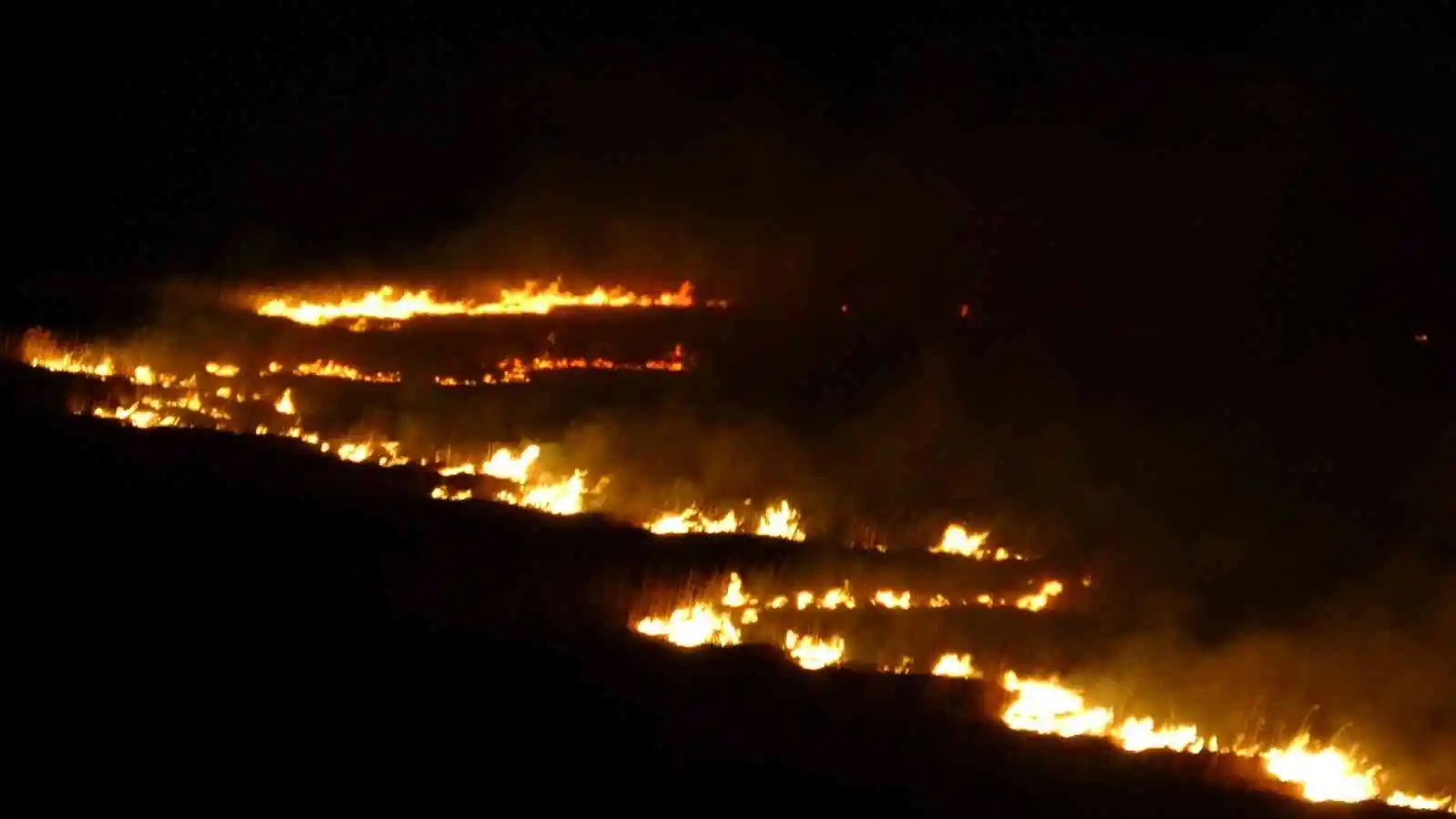 Yüksekova'nın kuş cenneti 4 gündür alev alev yanıyor
