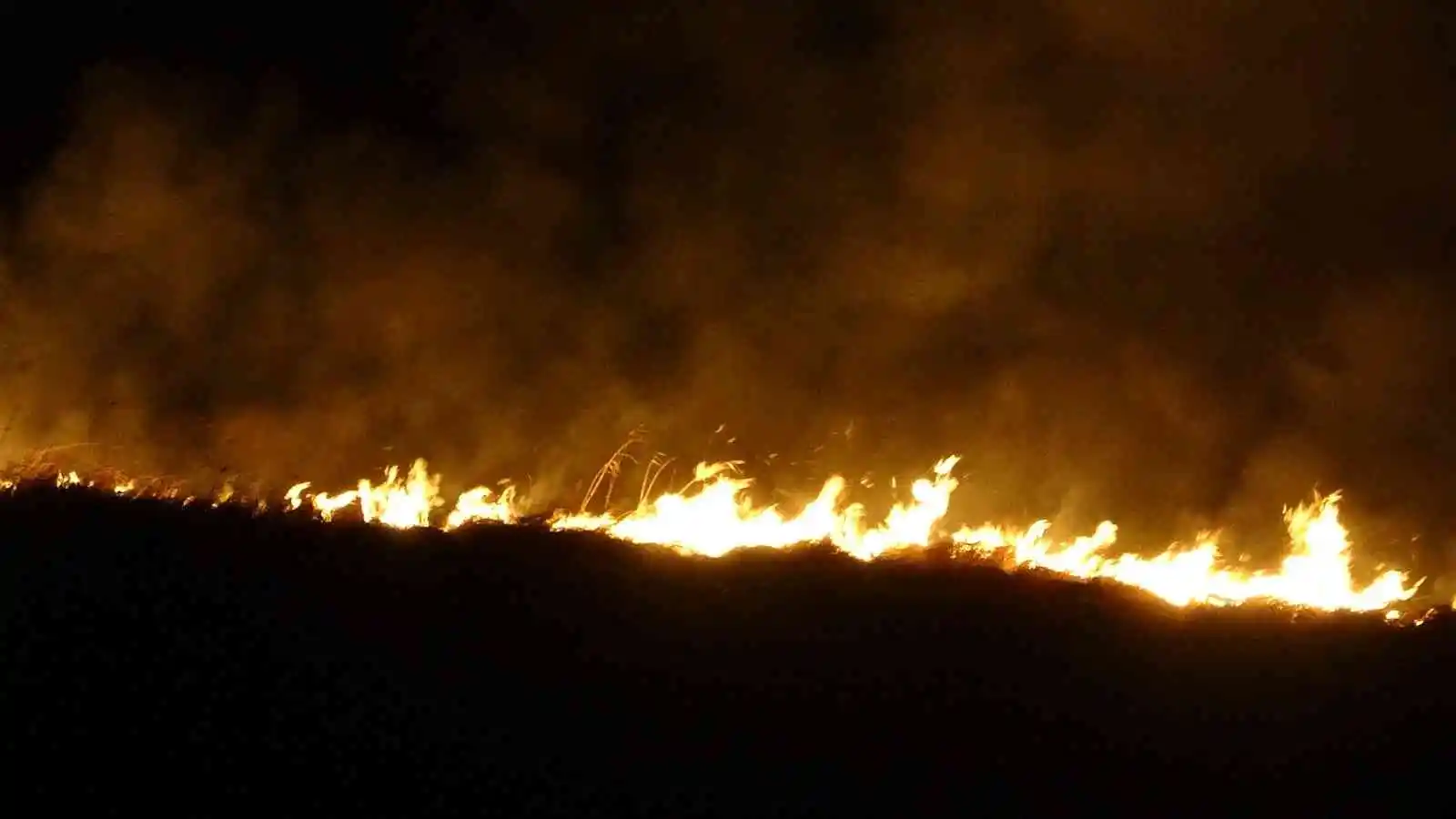 Yüksekova’nın kuş cenneti 4 gündür alev alev yanıyor
