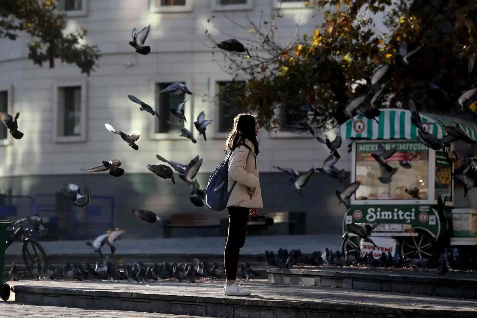 Zeytin toplayan köylü kadınlar tarlada böyle saygı duruşuna durdu
