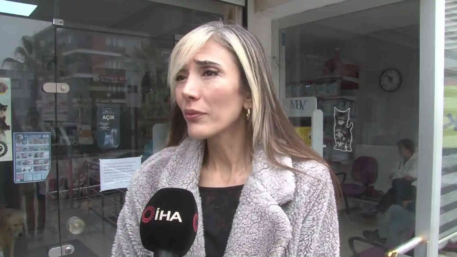 Ağzına silahla ateş edilen köpek yaşam mücadelesi veriyor