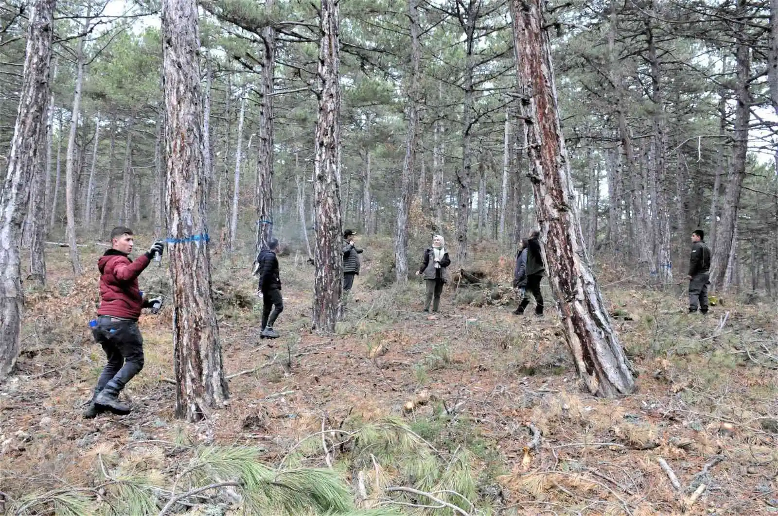 Altıntaş Akbayır Orman İşletme Şefliği'nde uygulamalı tatbikat
