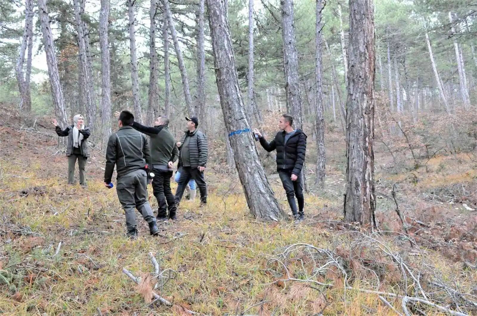 Altıntaş Akbayır Orman İşletme Şefliği’nde uygulamalı tatbikat
