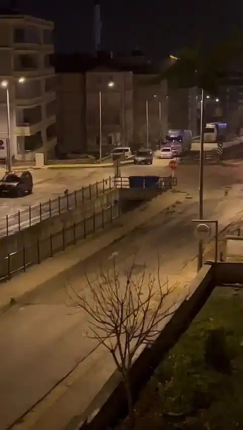 Amasya’da kurtlar şehir merkezine indi
